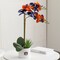 Auburn Tigers Faux Snake Plant and Orchid (2 Pack) - Fan-Favorite Gift Bundle